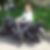 Profilbild von Silke Weiße