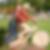 Profilbild von Frank Willeke
