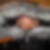 Profilbild von Ralf Fier