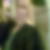 Profilbild von Jens Riediger