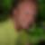 Profilbild von Jan Alexy