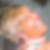 Profilbild von Iris Setzer