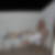 Profilbild von Christina Wunder