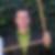 Profilbild von Rene Dittmann