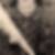 Profilbild von Peter Salz
