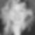 Profilbild von Marion Münch