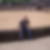 Profilbild von Ralph Beckers