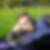 Profilbild von Christoph Manderscheid