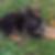 Profilbild von Thomas Wendling