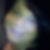 Profilbild von Julia Tworeck