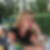Profilbild von Irene Jarke