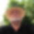 Profilbild von Peter Hohage
