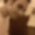 Profilbild von Adrian Dahms