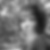 Profilbild von Sylvia Spindler