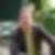 Profilbild von Michael Daenzer