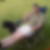 Profilbild von Ralf Rochelmeyer