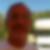 Profilbild von Georg Zandt