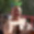 Profilbild von Thomas Schwarz