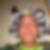 Profilbild von Lars Dübener
