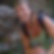 Profilbild von Dorothee Engels