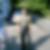 Profilbild von Manfred Wricke