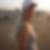 Profilbild von Leslie Armbrust