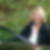 Profilbild von Svenja Strauß