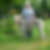 Profilbild von Heike Peine