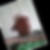 Profilbild von Marcus Spreng