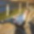 Profilbild von Andreas Stange
