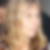 Profilbild von Andrea Menkhaus