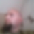 Profilbild von Andreas Muhlack