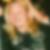 Profilbild von Gerhard Ahland