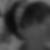 Profilbild von Ellen Wickert