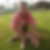Profilbild von Ivonne Michels