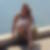 Profilbild von Kerstin Rileit