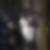 Profilbild von Andreas Schleich