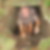 Profilbild von Udo Tegethof