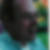 Profilbild von Michael Jansen