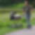 Profilbild von Sascha Eicke