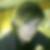 Profilbild von Yvette Herrmannsdorfer