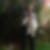 Profilbild von Robert Schlierf