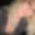 Profilbild von Petra Kelly