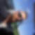 Profilbild von Thomas Rubbert