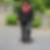 Profilbild von Renate Hillmann
