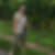Profilbild von Drabon Heiderose