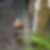 Profilbild von Iris Glarner-Frey