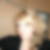 Profilbild von Miriam Hollmann