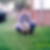 Profilbild von David Masche