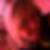 Profilbild von Heike Bollow